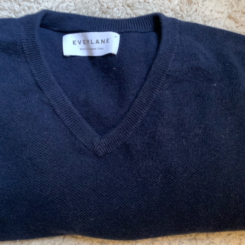 Everlane V-Neck Sweater - Navy